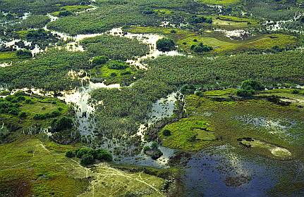 Okavango_Delta_btgs_6