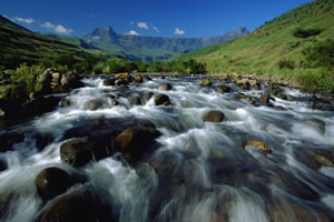 RoyalNatalNP_satour_2 RoyalNatalNP_satour_2