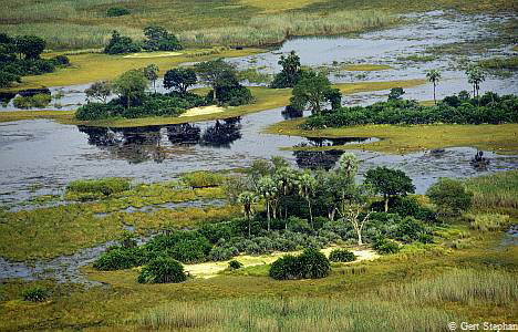 Okavango_Delta_btgs_5 Okavango_Delta_btgs_5
