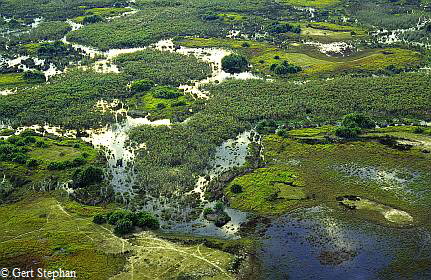 Okavango_Delta_btgs_6