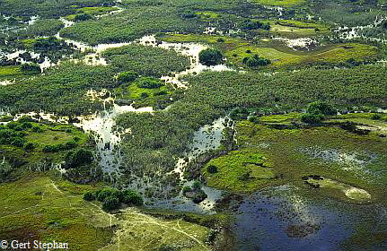 Okavango_Delta_btgs_6 Okavango_Delta_btgs_6