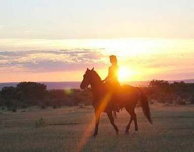 Reiten im Sonnenuntergang 2 (Ant's Collection)